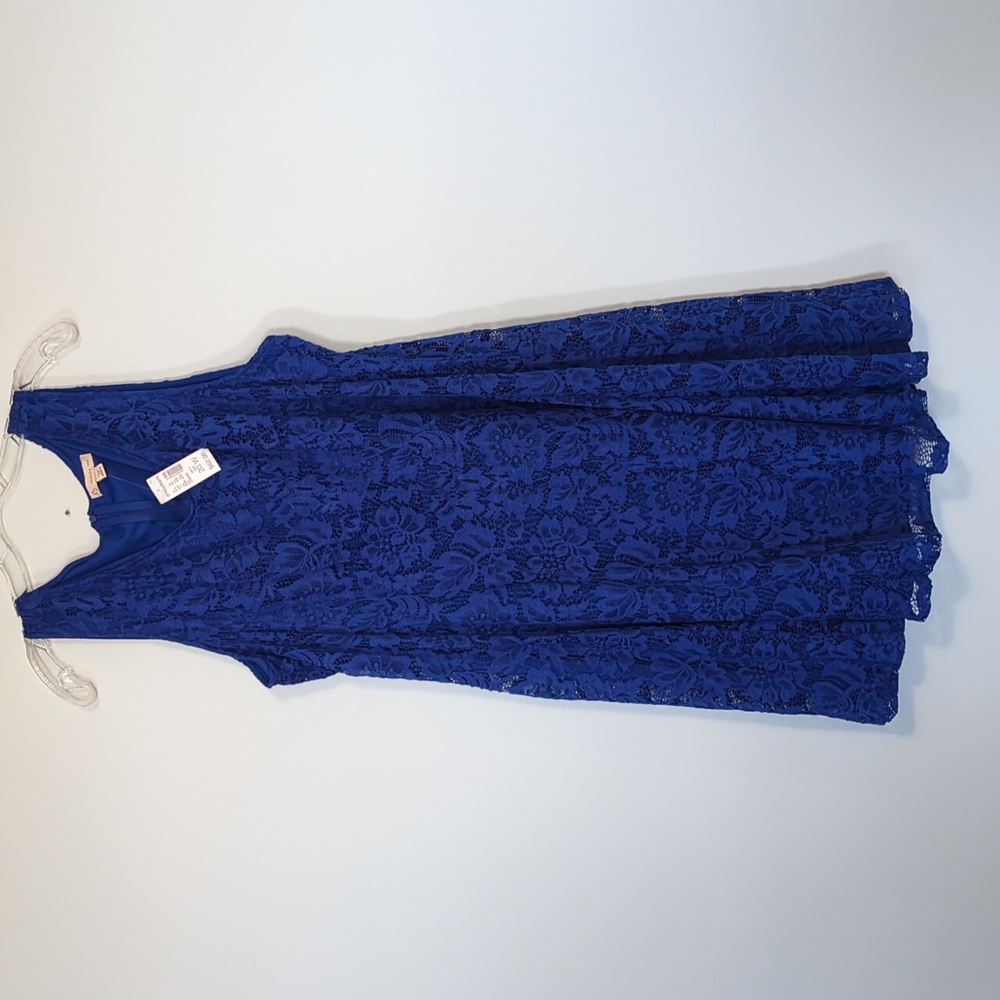 PLUS SIZE Blue Dress Barn Dress Lace with Zipper